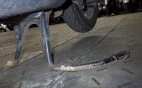 HONDA DIO GEN 3 AF34