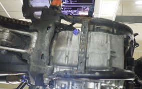 YAMAHA WR250X DG15J