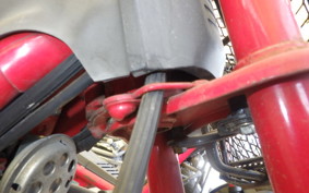 HONDA ROAD FOX TB10
