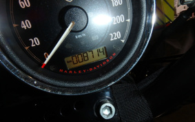 HARLEY HARLEY FXDL1580 2015 GN4