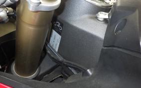 DUCATI 1299 PANIGALE 2015