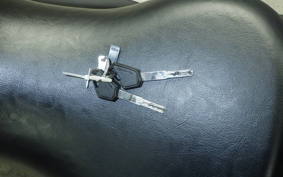 KAWASAKI ELIMINATOR400-3 2024 EL400A