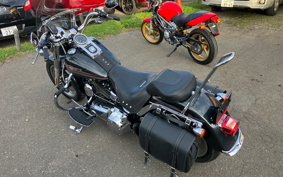 HARLEY HARLEY FLSTF1340-1450 2007 BX5