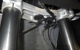 KAWASAKI NINJA 1100SX SE 2026 ZXT10H