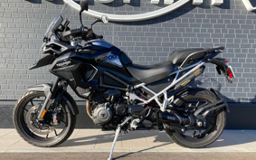 TRIUMPH TIGER 1200GT PRO 2024 TAP22V