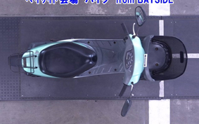 HONDA DIO CHESTER