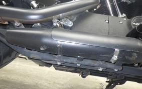 HARLEY XL1200NS 2019