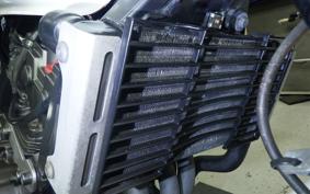 HONDA HORNET 250 2000 MC31