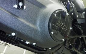 HARLEY FXLRST1920 2025