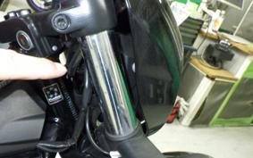 HARLEY RH975 2022