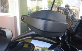 HARLEY PAN AMERICA 1250 SPECIAL 2021 ZES