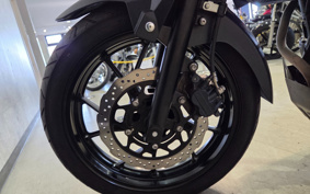 SUZUKI STROM 250 DS11A