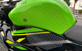 KAWASAKI NINJA ZX-6R 2019 ZX636G