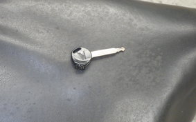 HONDA TODAY 2024 AF61