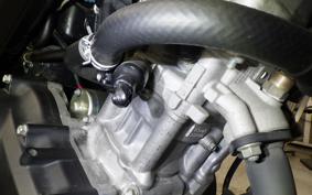 YAMAHA XSR155 2021