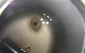 HONDA C50 SUPER CUB E 2011 AA01