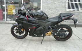 YAMAHA YZF-R25 RG43J