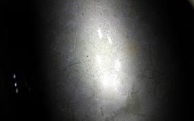HONDA NAUTY DAX 2005 CY50
