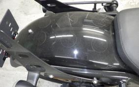 HARLEY RH975 2023