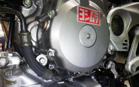 SUZUKI GOOSE 250 NJ46A