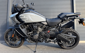 HARLEY PAN AMERICA 1250 SPECIAL 2025 ZES