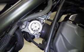 HONDA REBEL 250 A MC49