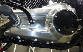 HARLEY FXBB1920 2026