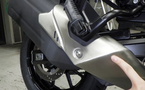 SUZUKI DL650 ( V-Strom 650 ) A 2021 C733A