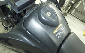 YAMAHA WR250X 2024 DG15J