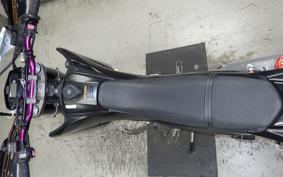 YAMAHA WR250X 2021 DG15J