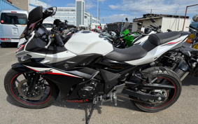 SUZUKI GSX250R DN11A