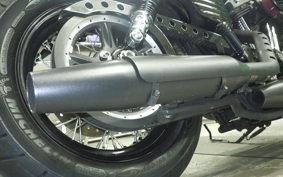 OTHER +HD. XL1200X 2015