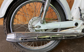 HONDA BENLY 50 CD50