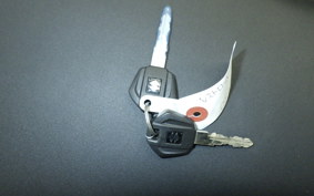 SUZUKI Vｽﾄﾛｰﾑ250SX 2023 EL11L