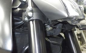 SUZUKI GSX-S1000 2021