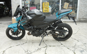 KAWASAKI Z250 EX250P