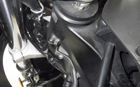 SUZUKI Vｽﾄﾛｰﾑ650 2011