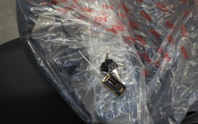 YAMAHA X-MAX 250 2023 SG70J