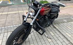 HARLEY XL883R 2005 CKM