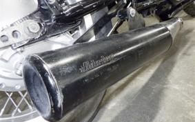 KAWASAKI Z900 2023 Z1F