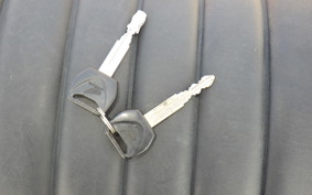 HONDA FTR223 2000 MC34