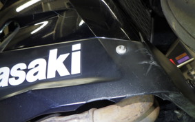 KAWASAKI NINJA 400 2019 EX400G