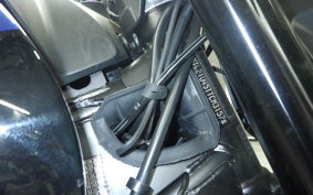 TRIUMPH TRIDENT 660 2025