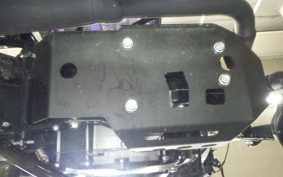 OTHER +UNREGISTERED MODEL by BDS250