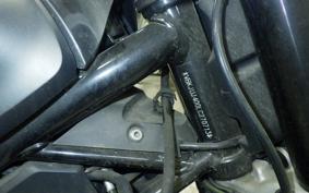 HUSQVARNA SVARTPILEN 401 2021