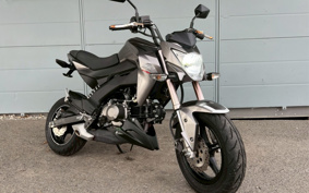 KAWASAKI Z125 PRO BR125H