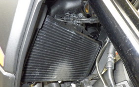 HONDA NX400 2025 NC65