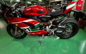 DUCATI  DUCATI PANIGA-REV2 BAYLISS  2022 1H00