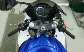 SUZUKI GSX-R1000 2010