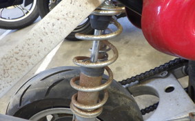 OTHER +UNREGISTERED MODEL by BDS50